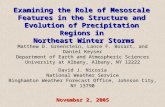 Examining the Role of Mesoscale Features in the Structure and Evolution of Precipitation Regions in Northeast Winter Storms Matthew D. Greenstein, Lance.
