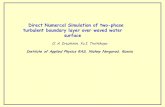 Direct Numercal Simulation of two-phase turbulent boundary layer over waved water surface O. A. Druzhinin, Yu.I. Тroitskaya Institute of Applied Physics.