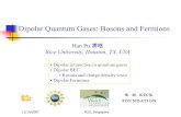 11/14/2007NSU, Singapore Dipolar Quantum Gases: Bosons and Fermions Han Pu 浦晗 Rice University, Houston, TX, USA Dipolar interaction in quantum gases Dipolar.