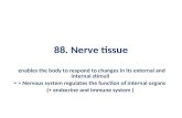 88. Nerve tissue enables the body to respond to changes in its external and internal stimuli =  Nervous system regulates the function of internal organs.