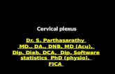 Cervical plexus Dr. S. Parthasarathy MD., DA., DNB, MD (Acu), Dip. Diab. DCA, Dip. Software statistics PhD (physio), FICA.