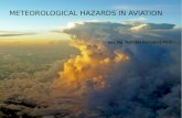 . METEOROLOGICAL HAZARDS IN AVIATION Cpt. Ing. Naděžda Bartoov Ph.D.