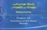 Chapter 19: Functions of the Blood Vessels Chapter 19: Functions of the Blood Vessels.