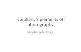 Stephanys elements of photography Stephany lechuga.
