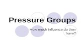 Pressure Groups How much influence do they have?.