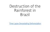 Destruction of the Rainforest in Brazil Time Lapse Devastating Deforestation.