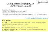 Using chromatography to identify amino acids