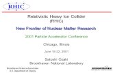 Brookhaven Science Associates U.S. Department of Energy Relativistic Heavy Ion Collider (RHIC) 2001 Particle Accelerator Conference Chicago, Illinois June.