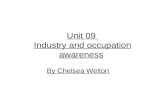 Unit 09 Industry and occupation awareness By Chelsea Welton.