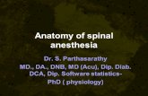 Anatomy of spinal anesthesia Dr. S. Parthasarathy MD., DA., DNB, MD (Acu), Dip. Diab. DCA, Dip. Software statistics- PhD ( physiology)