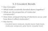 5.3 Covalent Bonds Key Concepts: What holds covalently bonded atoms together? What are the properties of molecular compounds? How does unequal sharing.