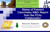 Status of Forward Calorimetry RD: Report from the FCAL Collaboration Bruce A. Schumm Santa Cruz Institute for Particle Physics University of California,