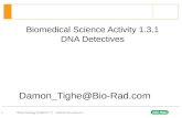 Biotechnology Explorer |   1 Biomedical Science Activity 1.3.1 DNA Detectives