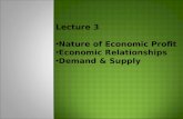 Lecture 3 Nature of Economic Profit Economic Relationships Demand  Supply.