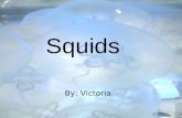 By: Victoria Squids. Did You Know? Did you know squids have a beak made out of chitin, cross-linken, it can also chop its prey into bite size pieces.