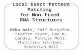 Local Exact Pattern Matching for Non-fixed RNA Structures Mika Amit, Rolf Backofen, Steffen Heyne, Gad M. Landau, Mathias Mohl, Christina Schmiedl, Sebastian.
