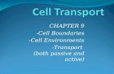CHAPTER 9 -Cell Boundaries -Cell Environments -Transport (both passive and active)
