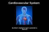 Cardiovascular System By Erika T, Sophie M, Tyler S, Jeremiah U, Derryl Q.