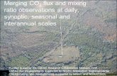 Merging CO 2 flux and mixing ratio observations at daily, synoptic, seasonal and interannual scales Funded in part by the ChEAS Research Collaboration.