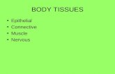BODY TISSUES Epithelial Connective Muscle Nervous.