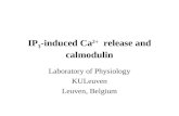 IP 3 -induced Ca 2+ release and calmodulin Laboratory of Physiology KULeuven Leuven, Belgium