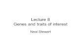 Lecture 8 Genes and traits of interest Neal Stewart.