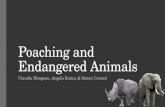 Poaching and Endangered Animals Claudia Mongeau, Angela Rosica  Simon Conrad.