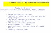 A FRESH LOOK AT THE SCISSION CONFIGURATION Fedir A. Ivanyuk Institut for Nuclear Research, Kiev, Ukraine Shape parameterisations The variational principle.