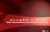 Domestic Violence Risk Assessment and Safety Planning.