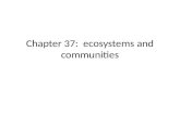 Chapter 37: ecosystems and communities. Hippos Hippos (herbivores, hairless)  barbels, snails, and shovel-nosed gobis eat the dung  crocodiles eat the.
