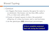 Blood Typing  Catalyst:  In Higgins Hurricane mascots, the gene for color is co-dominant. Hurricanes can be blue (BB), yellow (YY), or blue and yellow.