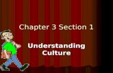 Chapter 3 Section 1 Understanding Culture. What Is Culture? Culture Culture Is the way of life of a group of people who share similar beliefs and customs.