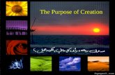 The Purpose of Creation The Purpose of Creation. Table of content: Introduction, Introduction, (The purpose of Creation) (The purpose of Creation) Answer.