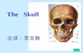 The Skull 主讲：李文春 down. The skull The skull contains 23 bones.The skull is is divided into…