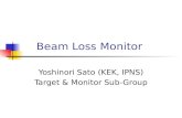 Beam Loss Monitor Yoshinori Sato (KEK, IPNS) Target & Monitor Sub-Group.