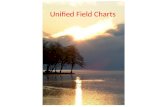 Unified Field Charts. WHOLENESS A Unified Field Chart is a visual aid used as part of Consciousness-Based…