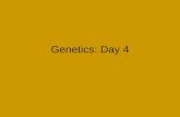 Genetics: Day 4. Theoretical Genetics In 1865 Austrian monk Gregor Mendel published the results of his…