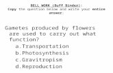BELL WORK (Buff Binder): Copy the question below and write your entire answer: Gametes produced by flowers…
