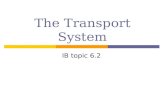 The Transport System IB topic 6.2. The transport system  Mammals have a closed circulation Blood…