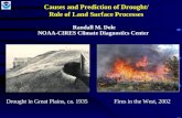 Causes and Prediction of Drought/ Role of Land Surface Processes Randall M. Dole NOAA-CIRES Climate…