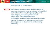20.1 Origins of Plant Life TEKS 7A, 7E, 8C, 12A The student is expected to: 7A analyze and evaluate…