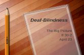 Deaf-Blindness The Big Picture 8:30-2 April 23. Activity/Reflection How does this “resonate” for…