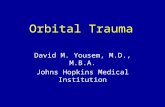 Orbital Trauma David M. Yousem, M.D., M.B.A. Johns Hopkins Medical Institution.