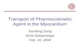 Transport of Pharmocokinetic Agent in the Myocardium Xianfeng Song Sima Setayeshgar Feb. 16, 2004.