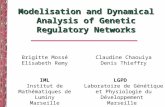 Modelisation and Dynamical Analysis of Genetic Regulatory Networks Claudine Chaouiya Denis Thieffry…