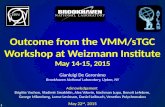 Outcome from the VMM/sTGC Workshop at Weizmann Institute May 14-15, 2015 Gianluigi De Geronimo Brookhaven…