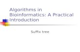 Algorithms in Bioinformatics: A Practical Introduction Suffix tree.