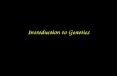 Introduction to Genetics. Topics Darwin and Mendel Probability Mendelian genetics –Mendel's experiments…