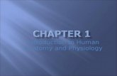 Introduction to Human Anatomy and Physiology. Introduction: The early students of anatomy and physiology…