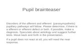 Pupil brainteaser Disorders of the afferent and efferent (parasympathetic) pupillary pathways will follow.…